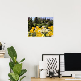 Póster Tulipanes amarillos del Arboretum Volcji Potok Esl