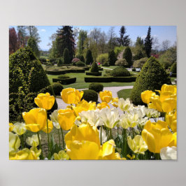 Póster Tulipanes amarillos del Arboretum Volcji Potok Esl