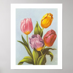 Póster Tulipanes amarillos, rosados y morados
