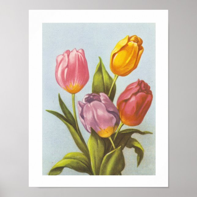 Póster Tulipanes amarillos, rosados y morados (Frente)