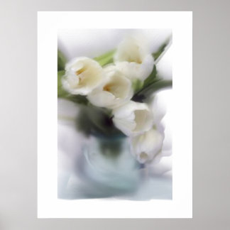 Póster Tulipanes blancos