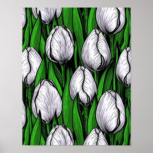 Póster Tulipanes blancos con hojas verdes (Frente)