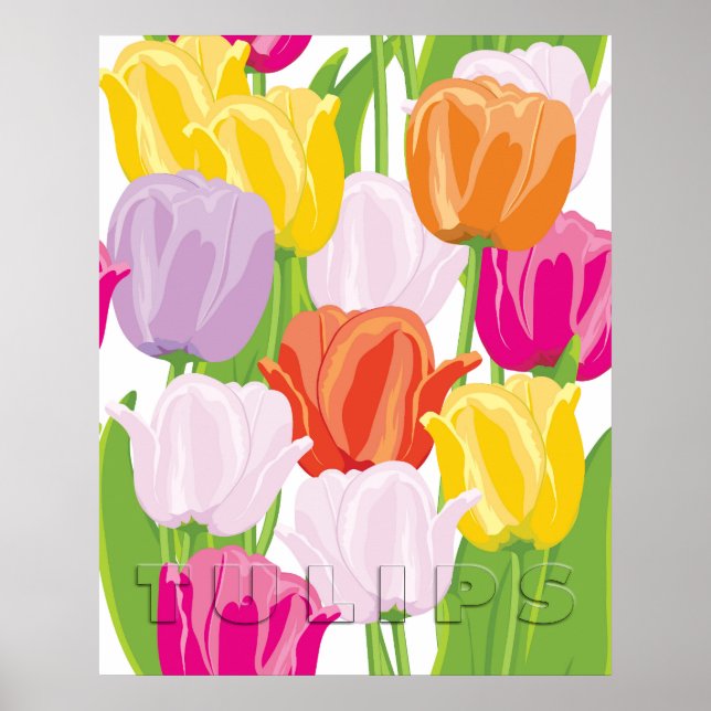 Póster Tulipanes Coloridos (Frente)