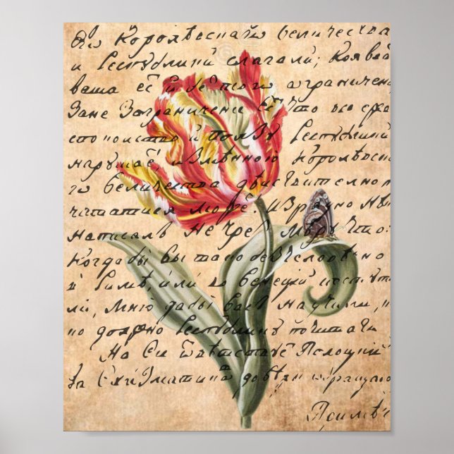 Póster Tulipanes de primavera y escritura a mano (Frente)