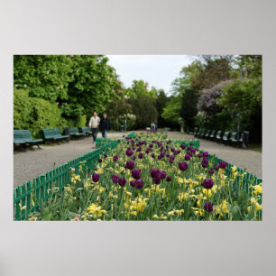 Póster Tulipanes del Parque de Praga - Bloques de Primave