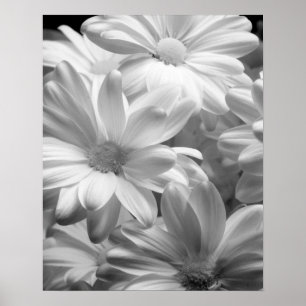 Póster Tulipanes en Keukenhof Gardens, Holanda. 2