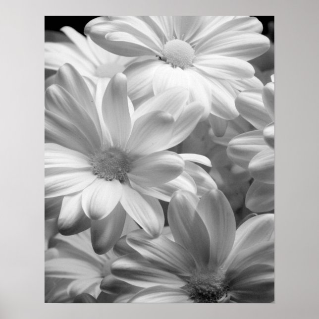 Póster Tulipanes en Keukenhof Gardens, Holanda. 2 (Frente)