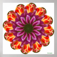 Tulipanes morados, rojos y amarillos