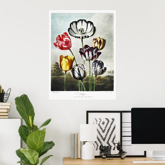 Póster Tulipanes multicolores al estilo Regencia melancól (Oficina en casa)