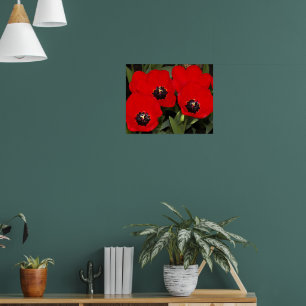 Póster Tulipanes Rojos Brillantes Fotografía Floral
