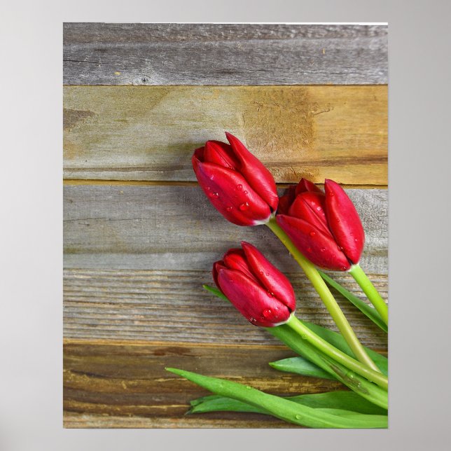 Póster tulipanes rojos de madera rústica (Frente)