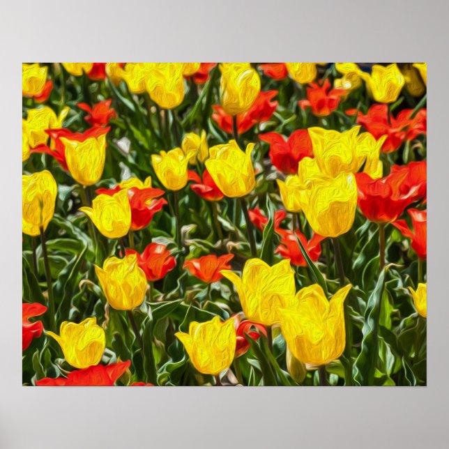 Póster Tulipanes rojos y amarillos (Frente)