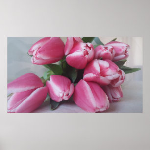 Póster Tulipanes rosados, Poster
