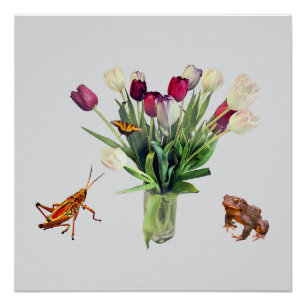 Póster Tulipanes, saltamontes, mariposa y rana