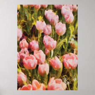 Póster Tulipanes - Un campo de rosa