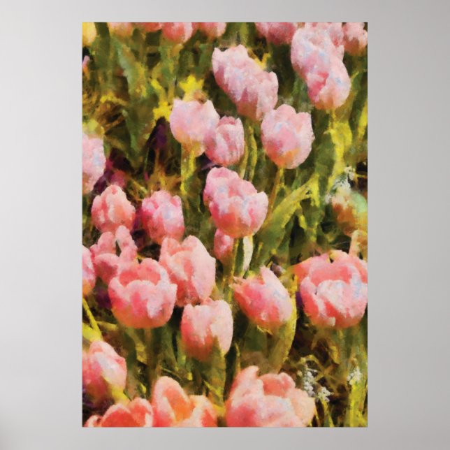 Póster Tulipanes - Un campo de rosa (Frente)