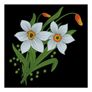 Póster Tulipanes y Narcisos Flores Fondo Negro