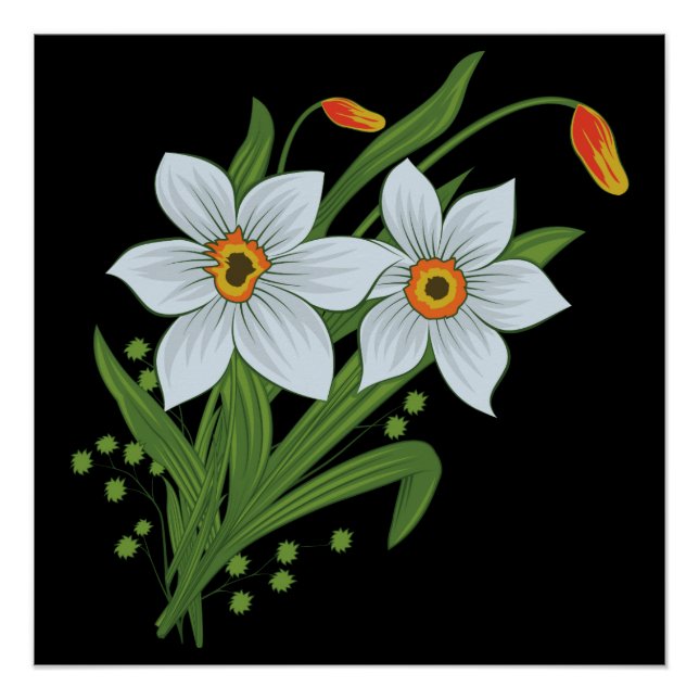 Póster Tulipanes y Narcisos Flores Fondo Negro (Anverso)