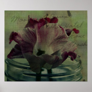 Póster Tulipanos