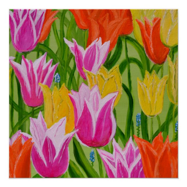 Poster Tulips1 (Anverso)