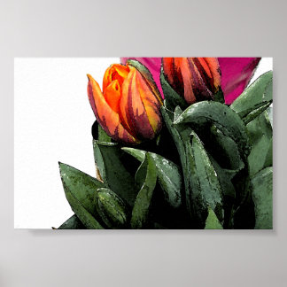 Póster Tulips de nuevo