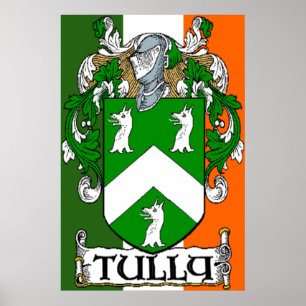 Póster Tully Coat of Arms Bandera Irlandesa Print