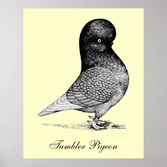 Póster Tumbler andaluz (Frente)