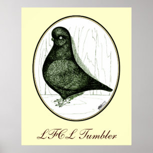 Póster Tumbler:  LFCL From 1978