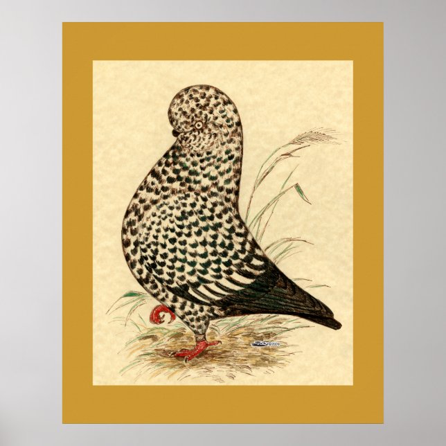 Póster Tumbler Pigeon LFCL Splash (Frente)