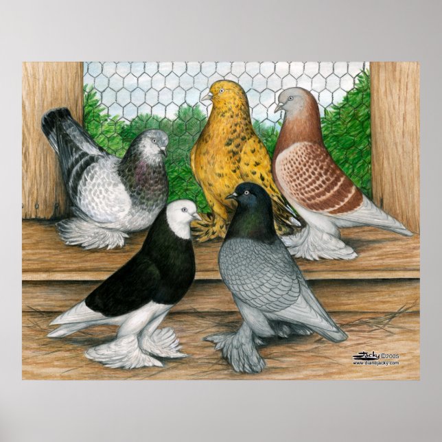 Póster Tumblers del oeste de Inglaterra (Frente)