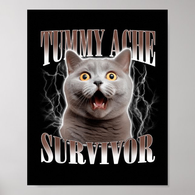 Póster Tummy Ache Survivor Cat Meme Cita Graciosa Que Dic (Frente)