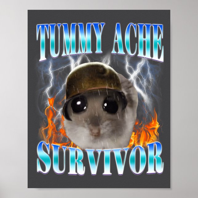 Póster Tummy Ache Survivor Hamster Meme Funny Saying Hams (Frente)