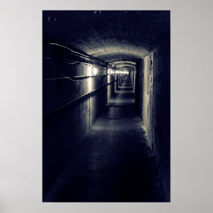 Póster Túnel