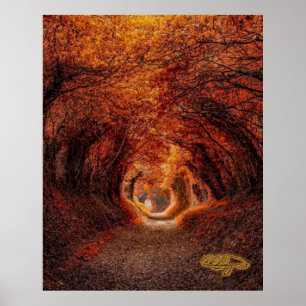 Póster Túnel de árboles - Una luz al final del túnel