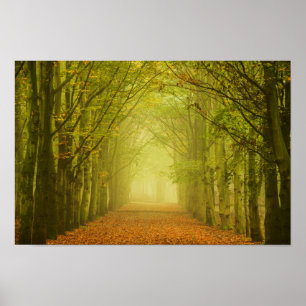Póster Túnel de la luz en el poster del bosque
