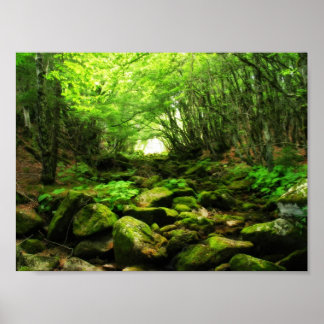 Póster Túnel verde