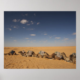 Póster Túnez, zona de Ksour, Ksar Ghilane, Gran Erg 2