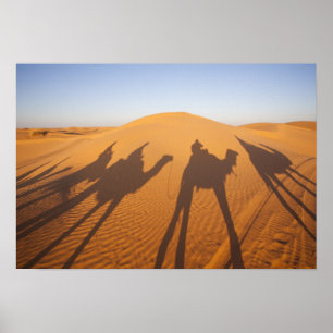 Póster Túnez, zona de Ksour, Ksar Ghilane, Gran Erg 5