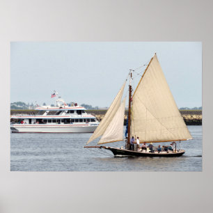 Póster Tupelo Honey