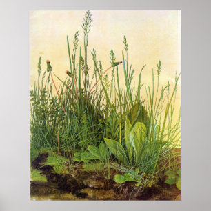 Póster Turf grande - Albrecht Durer - c1503