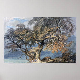Póster Turner - Gran Árbol