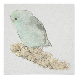 Póster Turquesa Parrotlet en acuarela del mijo
