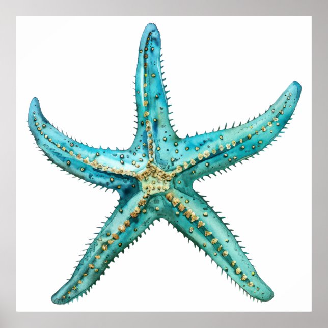 Póster  Turquoise starfish (Frente)