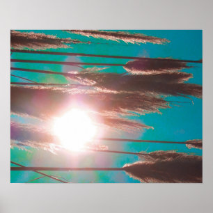 Póster “TurquoiseMidday "