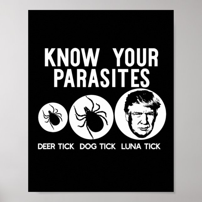 Póster Tus parásitos anti-triunfo se resisten a la divert (Frente)