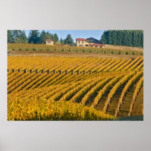 Póster Tuscan-looking Black Walnut Inn above the