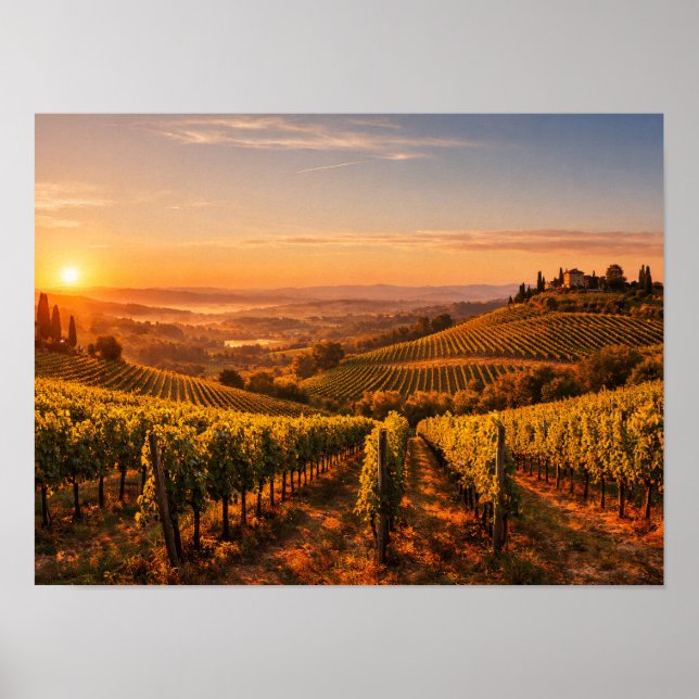 Póster Tuscany Vineyard at Sunset Landscape (Frente)
