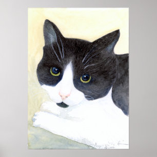 Póster Tuxedo Cat