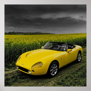 Póster TVR Griffith Print