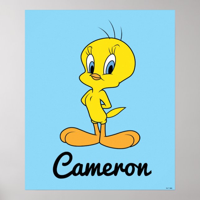 Póster TWEETY™ | Ave Inteligente Personalizada (Frente)